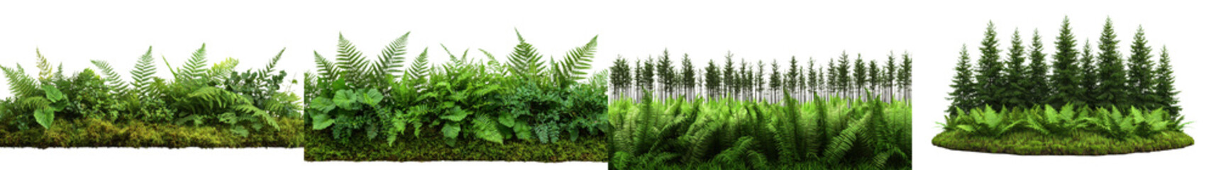 Fototapeta premium Lush verdant forest landscape featuring a diverse mix of evergreen trees ferns moss and other vibrant green foliage The serene tranquil atmosphere creates a calming idyllic natural scene