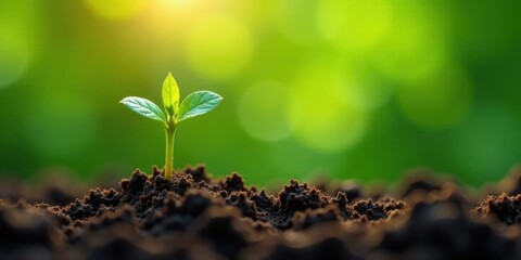 Naklejka premium A tiny sprout emerges from dark earth, bathed in the warm glow of sunlight against a vibrant green backdrop, symbolizing growth, renewal, and the promise of a flourishing future.