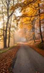Scenic autumn forest pathway lined with colorful foliage and illuminated by soft sunlight