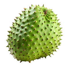 Soursop fruit isolated on transparent background 
