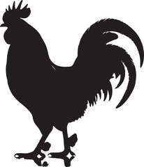 Chicken vector Shilhouette, Chicken vector shilhouette with white background. 