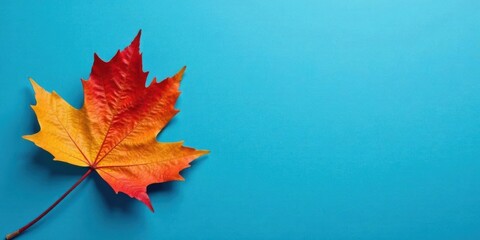 Vibrant Autumn Leaf on a Smooth Azure Background, Perfect for Seasonal Designs and Fall-Themed Projects