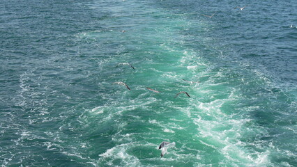Fototapeta premium Ocean Wake Ship Trail: Sea, Vessel, Waves, turbulent water trail behind ship at sea, showing movement and speed.