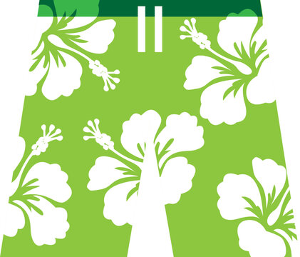 Swimming Trunks Simple Vector