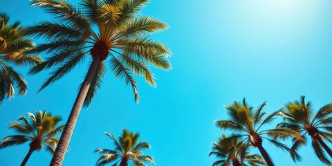 Tall palm tree standing against a vibrant blue sky backdrop, serene, beautiful
