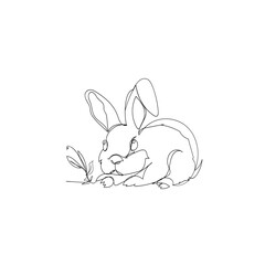 continuous line drawing doodle icon rabbit
