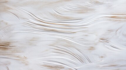 Obraz premium Light Wood Grain Texture with Natural Patterns