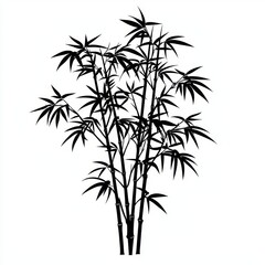 Elegant Black Silhouette of Bamboo Plants Lush Tropical Foliage Asian Botanical Illustration