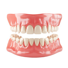 Obraz premium Healthy Human Teeth Dental Model 3d jaw isolated on transparent background