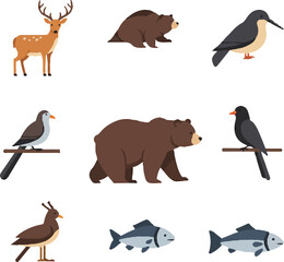 Fototapeta premium collection of animals