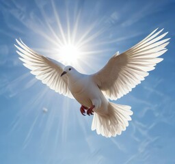 The sun shines down on a white dove as it glides effortlessly through the clear blue sky, wingspan, airy, sky