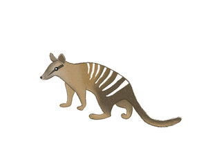 Obraz premium Illustration of cute numbat without background 