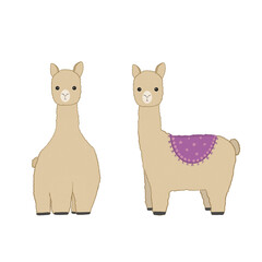 Isolated illustration of two lama without background. Alpaca