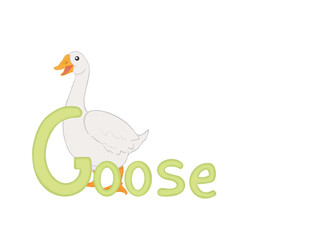 Isolated illustration of a goose for alphabet. Without background. Letter G. Kids education 