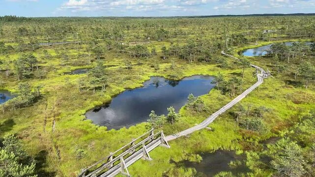 Aerial view of the landscape with the lakes and the swamps and with a wooden path leading through them in Kemeru National Park near Jurmala, Latvia