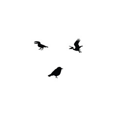 Animals silhouette