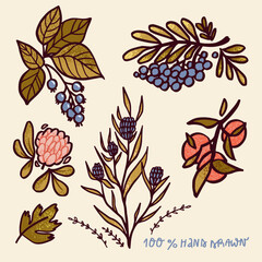 vector folk summer spring flowers set. isolated image. hahd drawn cartoon illustration.