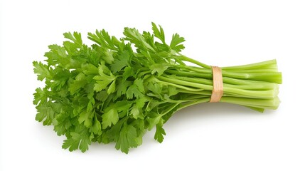 Fresh Green Parsley Bunch Isolated On White Background
