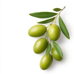 Fresh Green Olives Branch On White Background