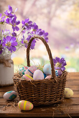 Easter eggs in a basket and purple daisies with vibrant spring background