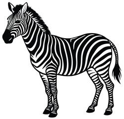 Striped zebra, a wild mammal with black and white stripes isolated on white, cartoon design vector sketch freehand outline hand drawn picture sketchy line art icon sign silhouette illustration