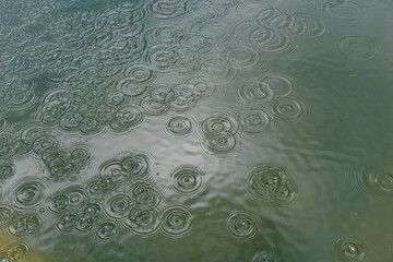 Raindrops falling on a water surface, creating overlapping circular ripples and reflections. The soft light enhances the texture and movement of the water during rainfall. 