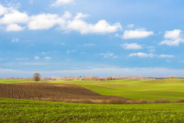 Naklejka premium Polish fields 2024