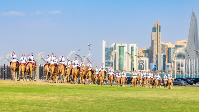 Royal camel guards parade against Doha futuristic business downtown center skyline with sea guld in between, Qatar