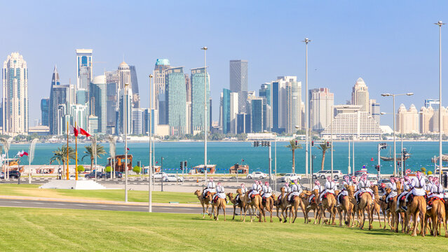 Royal camel guards parade against Doha futuristic business downtown center skyline with sea gulf in between, Qatar