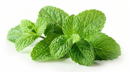 Fresh green mint leaves arranged artistically, showcasing their vibrant color and textured surface.