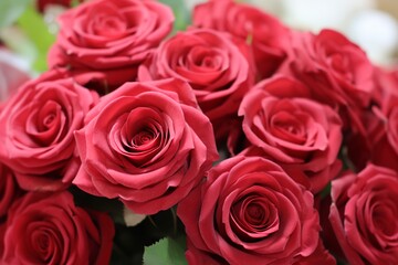 Fototapeta premium Crimson Roses: A close-up of a vibrant bouquet of crimson roses, capturing the intricate details of the velvety petals and the delicate fragrance of romance.