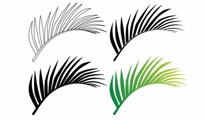 Vector illustration of palm leaf silhouettes in black, white, and green. Perfect for tropical designs, botanical art, logos, and nature-themed decorations.