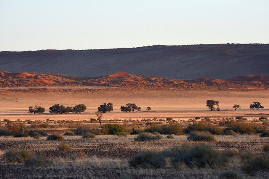 Morgenstimmung an der Elimd&uuml;ne bei Sesriem (Namibia)