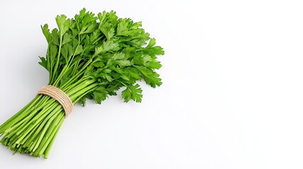 Fresh Cilantro Bunch On White Background