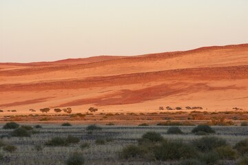 Morgenstimmung an der Elimdüne bei Sesriem (Namibia)