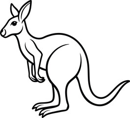 Line Art Drawing of a Red Kangaroo, Australian Marsupial