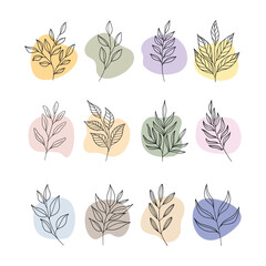 plant and leaves with boho abstract shape	