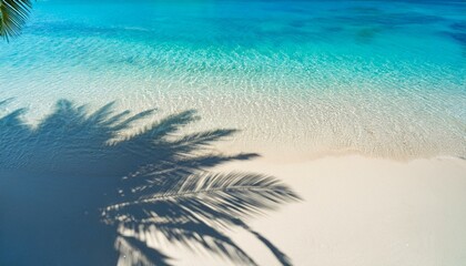 top view of tropical leaf shadow on water surface shadow of palm leaves on white sand beach beautiful abstract background concept banner for summer vacation at the beach