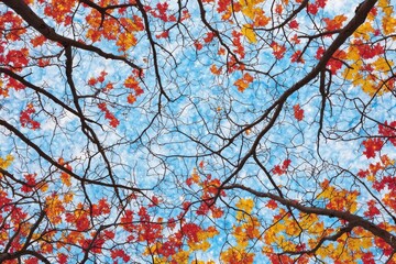 A galactic tree with branches made of pure stardust, radiating energy.