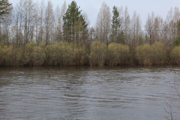 Obraz premium a river overflowing during the spring flood