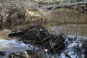 Bobrov Dam on a small river in spring