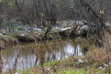 small rivers of the north of the Kirov region in mid-May