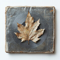 Autumn Leaf on an Album