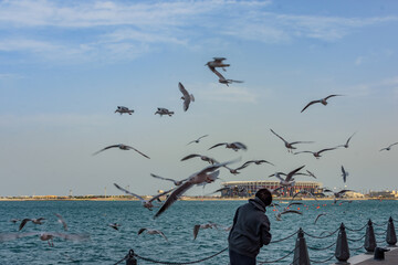 A man feeding sea gulls