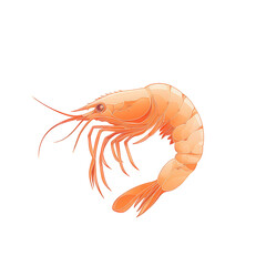 A simple yet elegant shrimp illustration in a cut-out style, featuring clean, flowing lines and soft orange tones, transparent background, PNG
