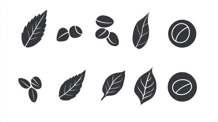Fototapeta premium Coffee beans and leaves for packaging design, menu, advertisement, decoration and backgrounds