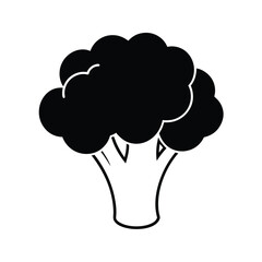 cauliflower vector illustration