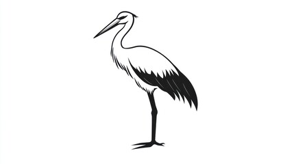Obraz premium Side view of a stork, graphic illustration