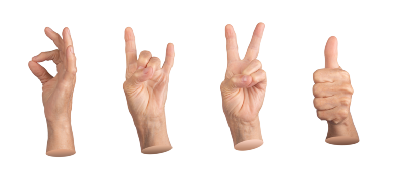 Set of elderly female hands making various gestures, including OK, rock sign, victory, peace, and thumbs up. Wrinkled fingers emphasizing age and expression. Isolated on white background.