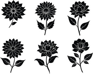 set of black and white flowers